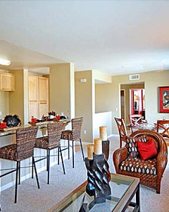 Living and Dining Areas