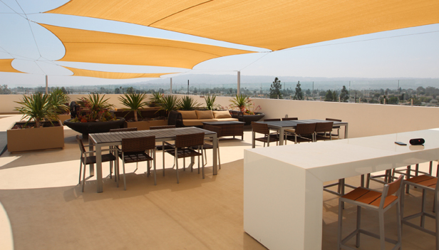 The Seacrest Community