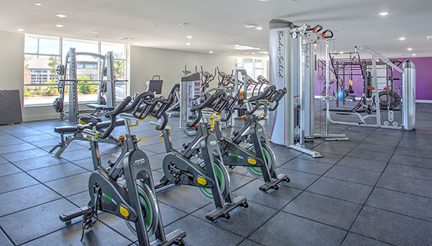 The Seacrest Community