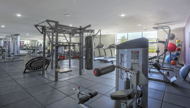 The Seacrest Community